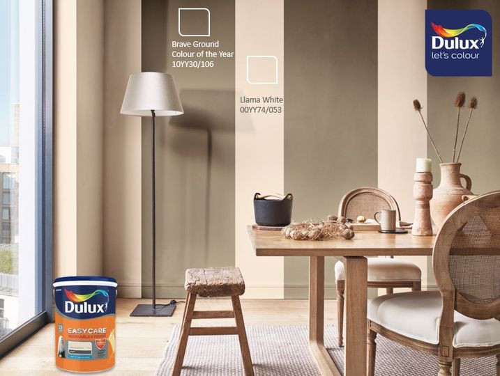The Essence of Dulux Paint Elevating Your Home